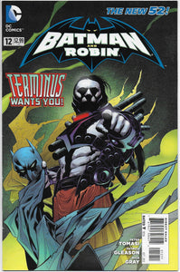 batman and robin 12