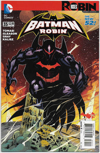 batman and robin 35