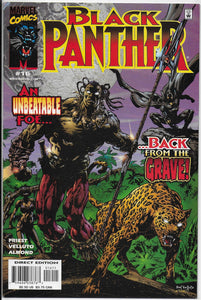 black panther 16