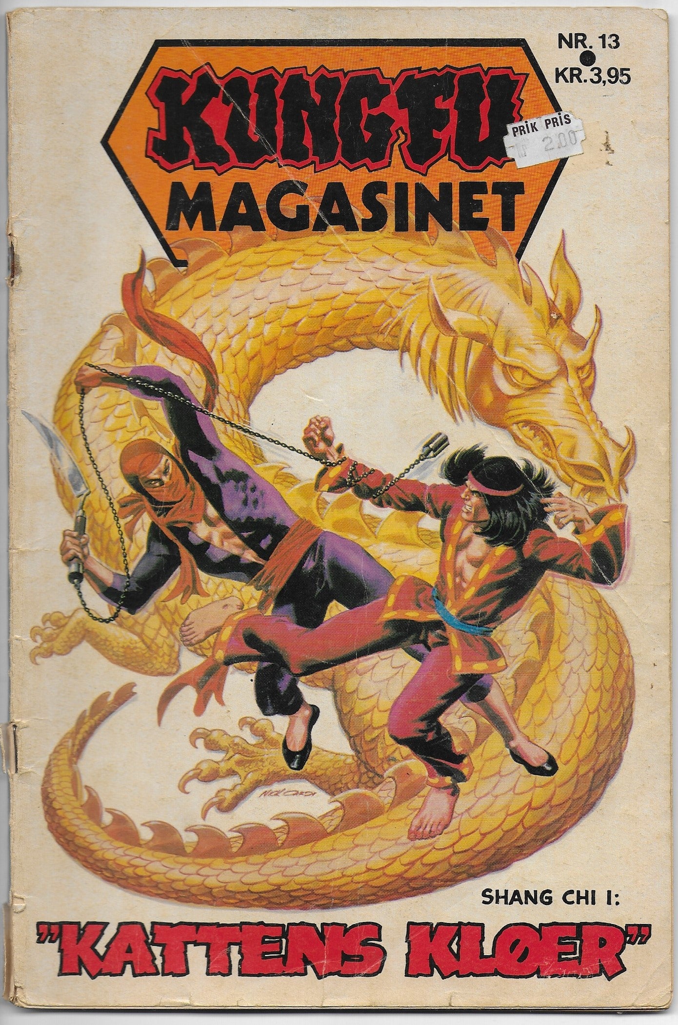 kung fu magasinet 13