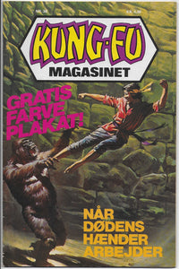 kung fu magasinet 38