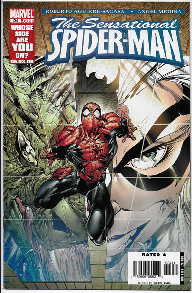 sensational spider-man 24