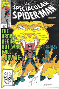 spectacular spider-man 171
