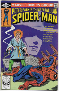 spectacular spider-man 48