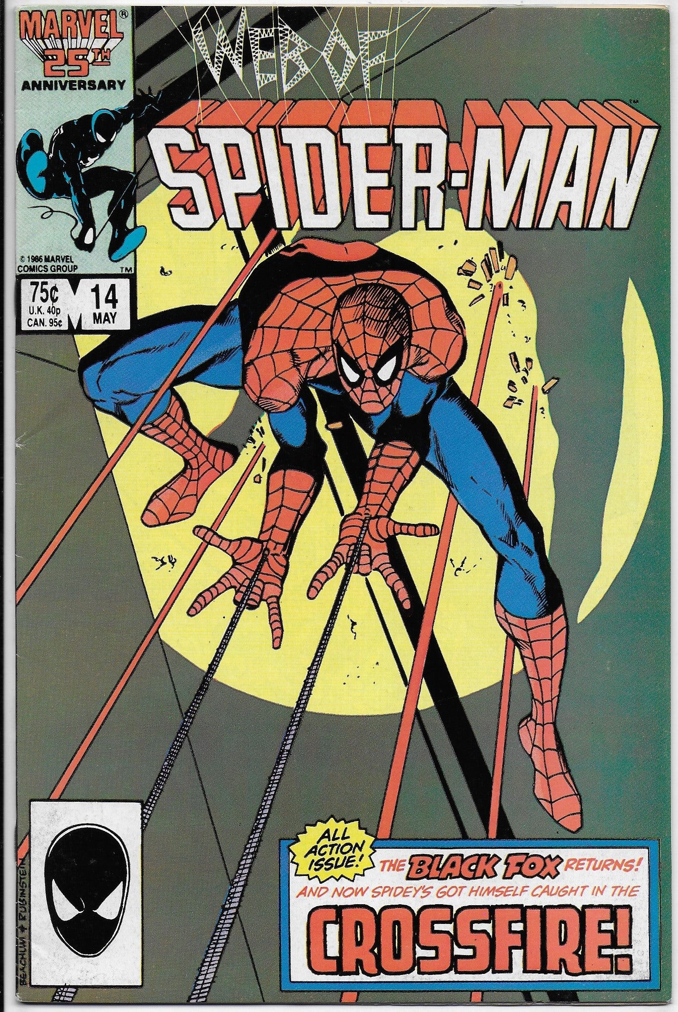 web of spider-man 14